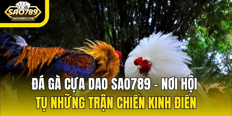 Đá Gà Cựa Dao