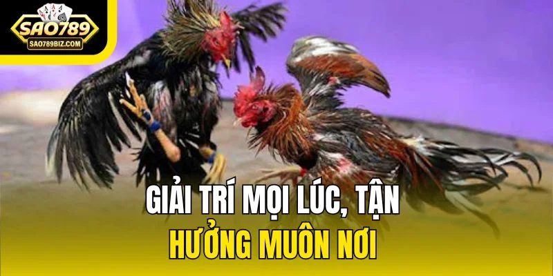 Giải trí mọi lúc, tận hưởng muôn nơi