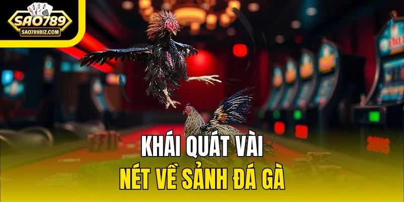 Khái quát vài nét về sảnh đá gà