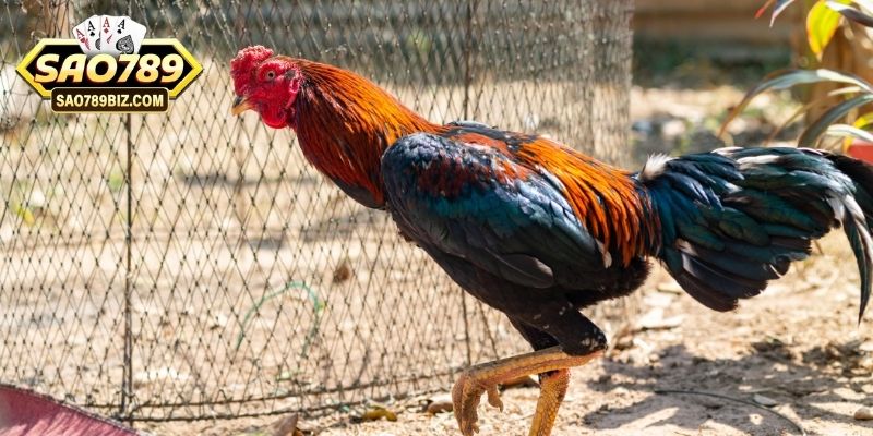 Chế độ dinh dưỡng đóng vai trò quan trọng